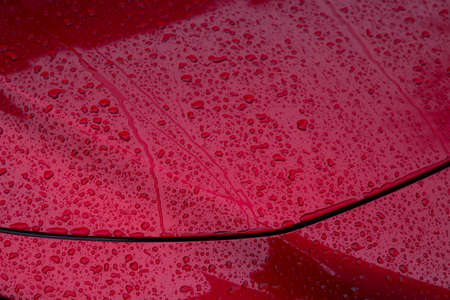 The surface of the car in raindrops. The red car is covered with water from precipitation.の写真素材