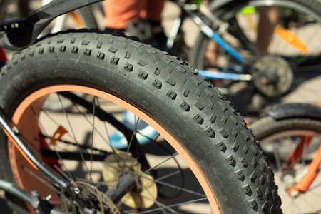 Fatbike wheel. Wide bike tire. Mud tread. Big bike. Rear wheel of transport.の写真素材