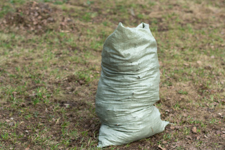 Bags of leaves. Waste bags. The result of cleaning the yard. Lots of waste bags inside.