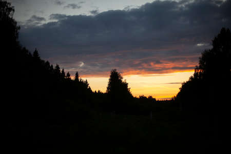 Forest at sunset. Silhouette of the forest against the background of the evening sky. Calm sunset background.の写真素材