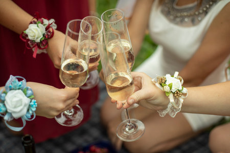 The girls are knocking glasses of wine. Picnic in nature.の写真素材