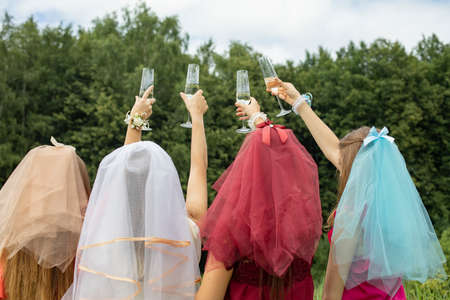 Girls at a picnic. Girls are holding glasses of wine. Summer vacation in nature. Women from the back. A veil on the head of every girl. Hen party before the wedding.の写真素材