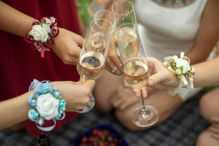 The girls are knocking glasses of wine. Picnic in nature.の写真素材
