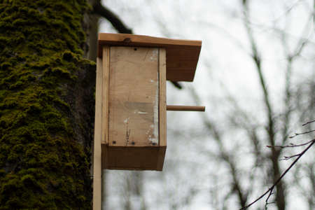 A bird house on a tree. A house made of boards for feeding migratory birds. View from the side of the bird house.の写真素材
