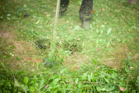 The lawn mower mows the grass. Cleaning long grass. The gardener mows the plants.の写真素材