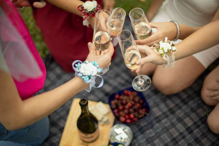 The girls are knocking glasses of wine. Picnic in nature.の写真素材