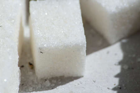 A lump of white sugar. Square sugar. Sweet product.の写真素材