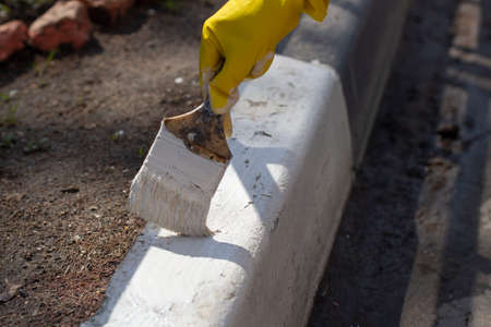 Painting borders with white paint. Applying oil paint to asphalt. Creation of markings for pedestrians. Paint brush. Work as a painter. Painting the surface with a thick layer of paint.の写真素材