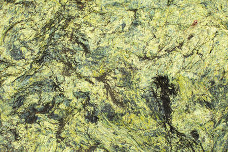 Green stone texture. Stone background in detail. A rare breed of rock. Rough surface.の写真素材