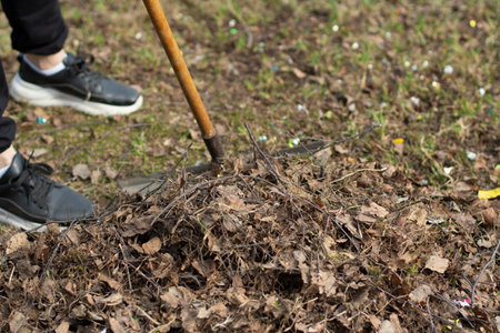 Cleaning of leaves with a rake. Cleaning the area from fallen leaves. Putting order in the yard.の写真素材