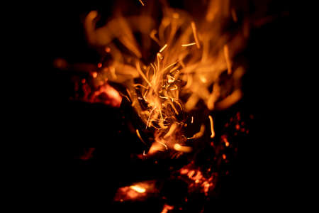 Beautiful fire. Firewood burns in the dark. Coal sparks. Flame at night. The dry trees were badly ruined.の写真素材
