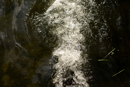 The flow of water in the pond. The bubbling movement of water. Draining into the lake.