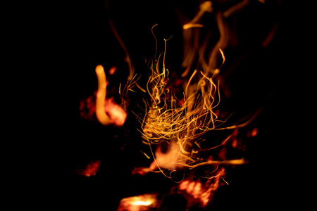 Beautiful fire. Firewood burns in the dark. Coal sparks. Flame at night. The dry trees were badly...