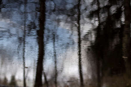 Reflection on the water. The surface of the pond. Trees are reflected in a puddle.の写真素材