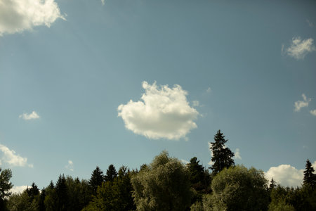 White clouds over the forest. Summer landscape. View of the trees and the sky.の写真素材