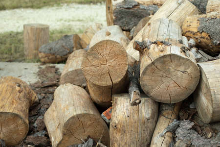 Tree stumps for preparation of cutting firewood. The stumps of the tree trunk are harvested on the street. Dry wood cut into large pieces.の写真素材