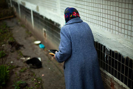 Retired woman in Russia. Elderly woman in Eastern Europe feeding cats. An old woman near the house in a warm coat takes care of homeless animals. Old age in life.の写真素材