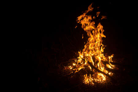 Fire in the dark. Flame from burning wood. Tongues of fire at night.の写真素材