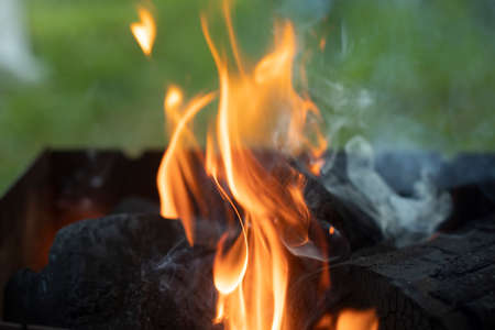 Fire from burning coal. Bonfire flame in the evening. Tongues of fire in nature.の写真素材