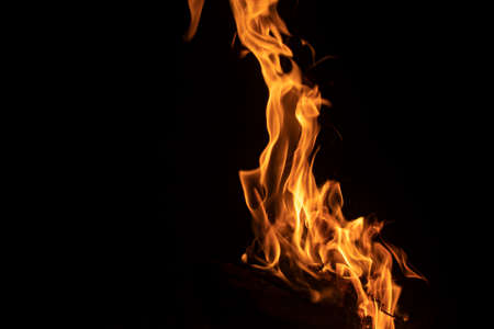 Bonfire flame at night. Yellow fire in the dark. Burning dry branches in a bright fire. Natural background of the combustion process.の写真素材