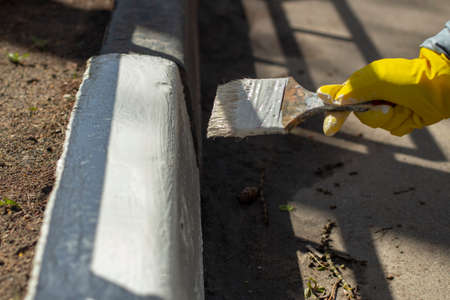 Painting borders with white paint. Applying oil paint to asphalt. Creation of markings for pedestrians. Paint brush. Work as a painter. Painting the surface with a thick layer of paint.の写真素材