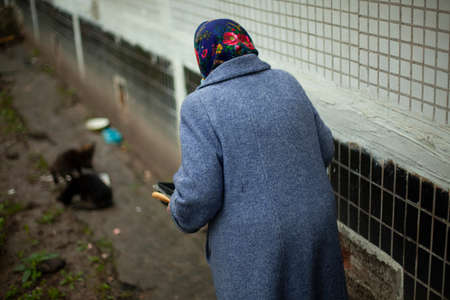 Retired woman in Russia. Elderly woman in Eastern Europe feeding cats. An old woman near the house in a warm coat takes care of homeless animals. Old age in life.の写真素材