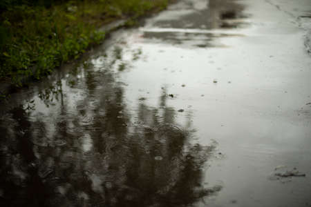 Wet asphalt. Rain in the park. Wet surface. The road after the rain. The water reflects the bushes. It's a muddy day.の写真素材