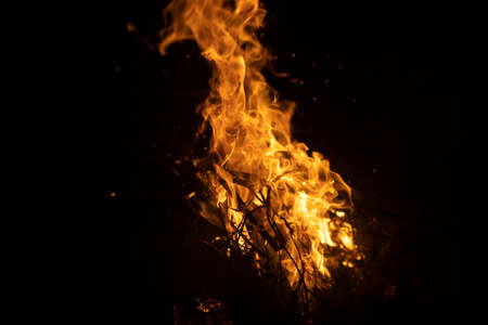 Bonfire flame at night. Yellow fire in the dark. Burning dry branches in a bright fire. Natural background of the combustion process.の写真素材