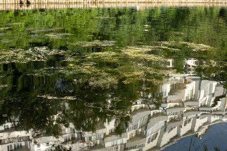 Reflections of a building in the water. City pond. Summer water surface.