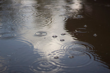 Raindrops in a puddle. Circles from the rain on the water. It's a rainy day. Autumn rain begins.の写真素材