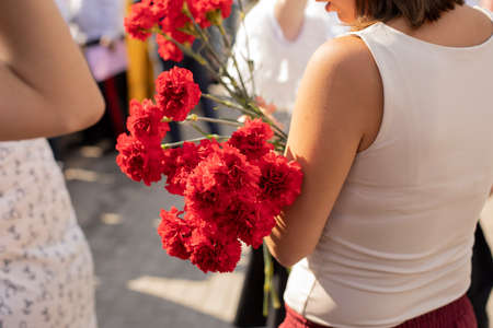 Carnations in the hands of a girl. Red flowers in a woman. Commemorative flowers at the holiday. Petals of inflorescences on long stems in the hands of a girl in a white T-shirt.の写真素材