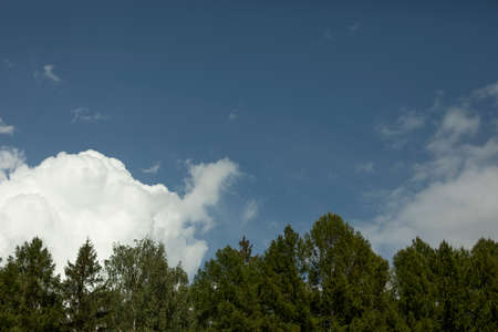 Clouds in the sky. Summer weather. White clouds fly across a vast space. Weather changes.の写真素材