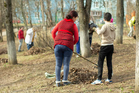 Cleaning of leaves with a rake. Cleaning the area from fallen leaves. Putting order in the yard.の写真素材
