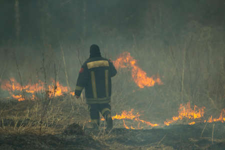 A firefighter extinguishes a fire in nature. Dry grass burns. The rescuer fights the fire. Fires in Russia. Dry summers are dangerous.の写真素材