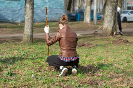 Children are picking the leaves. Cleaning leaves in the yard. A child sweeps leaves from a rake.の写真素材