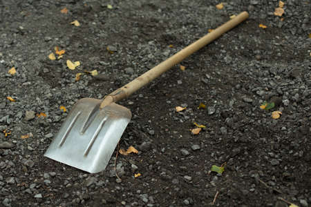 Shovel. Building instrument for bulk materials. The shovel lies on the asphalt.の写真素材