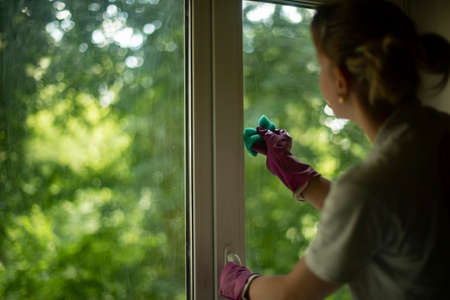 The girl washes the window in the apartment. The woman cleans the house. My daughter wipes the dust. My wife washes the glass with detergent. Hands in gloves for cleaning.の写真素材