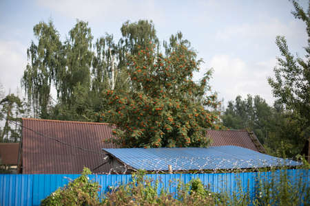 Countryside. Far out of town. Details of the region. Uninhabited places.の写真素材