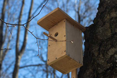 A house for a bird. Wooden tree house. A feeding place for wintering birds.