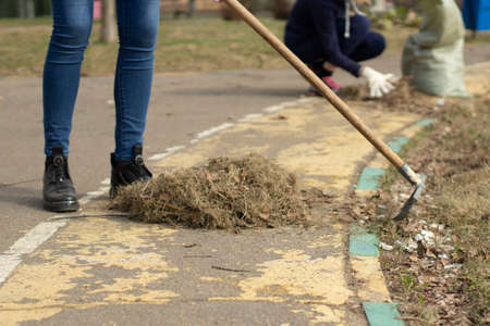 Cleaning of leaves with a rake. Cleaning the area from fallen leaves. Putting order in the yard.の写真素材