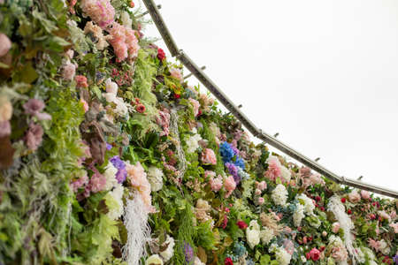 A wall of flowers. Decoration of flowers in the park. Rose buds are put together in one large texture. Place for photography.の写真素材