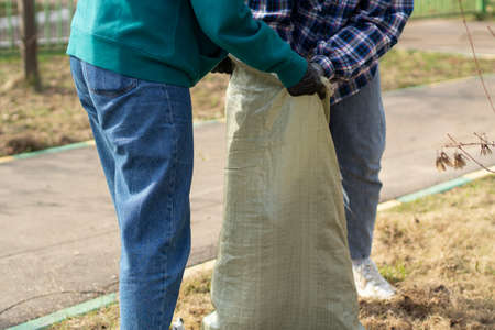 Cleaning the leaves in a bag. The gardener collects dry leaves. Yard cleaning. Collecting waste in a bag with your hands.の写真素材