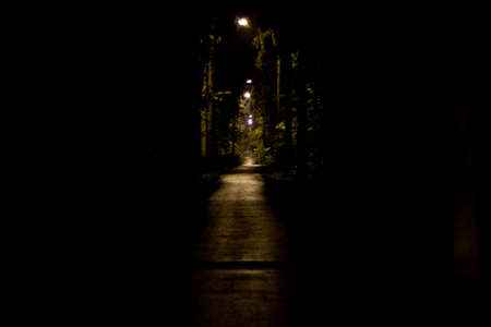 The path at night goes into the distance. Light in the park late in the evening. An empty path. A gloomy evening in the city. A way for one person.の写真素材