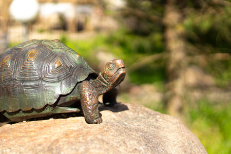 Sculpture of a turtle. Bronze turtle on a stone. The figurine adorns the park. Sculpture of a turtle in sunlight.の写真素材