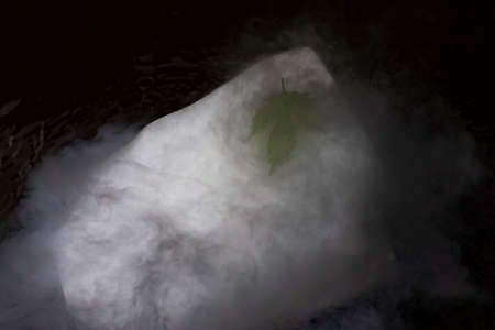 Green leaf on a white ice floe. Leaf and dry ice. Evaporation of nitrogen and plant.の写真素材