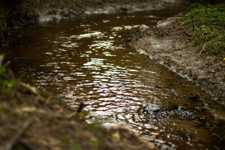 A stream in the forest. Fresh water flows through a natural channel. Narrow river.