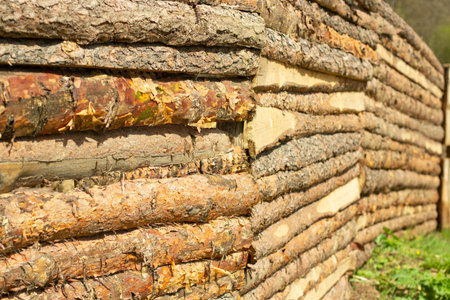 Fence of logs. Fence of pine boards. Fresh log house made of boards.
