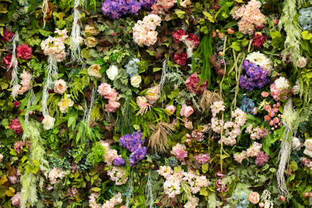 The texture of a green wall, overgrown with blooming flowers. Close-up. Greenhouse skills. Floristics. Outside shootingの写真素材