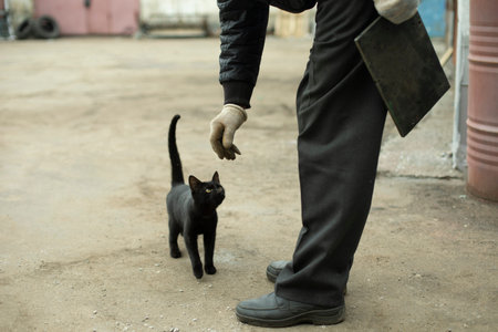 A black cat near the man's feet. A man strokes a cat on the street. A homeless animal in the city.の写真素材