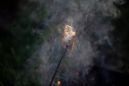 Frying bread on campfire. Bread on stick is baked in flames. Picnic in nature. Smoke in sunlight. Cooking.の写真素材